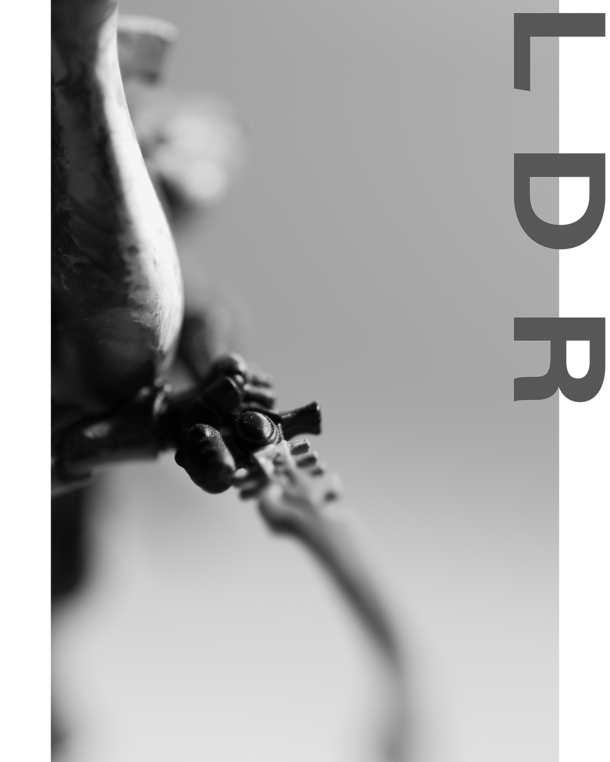 LDR inspired by DTNR